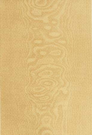 Plate 15. HUNGARIAN ASH, WIPED OUT AND PENCILLED.
