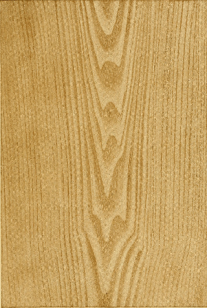 Plate 20. CHESTNUT.