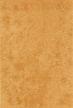 Plate 28. POLLARD OAK.