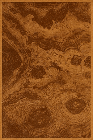 Plate 39. FRENCH WALNUT BURL.