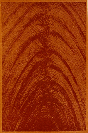 Plate 42. MAHOGANY FEATHERED.