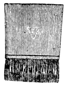 Fig. 11.