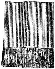 Fig. 18.