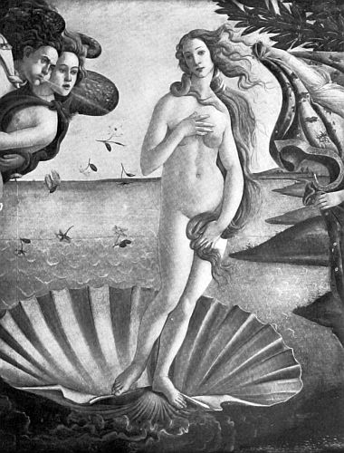 Venus Venus