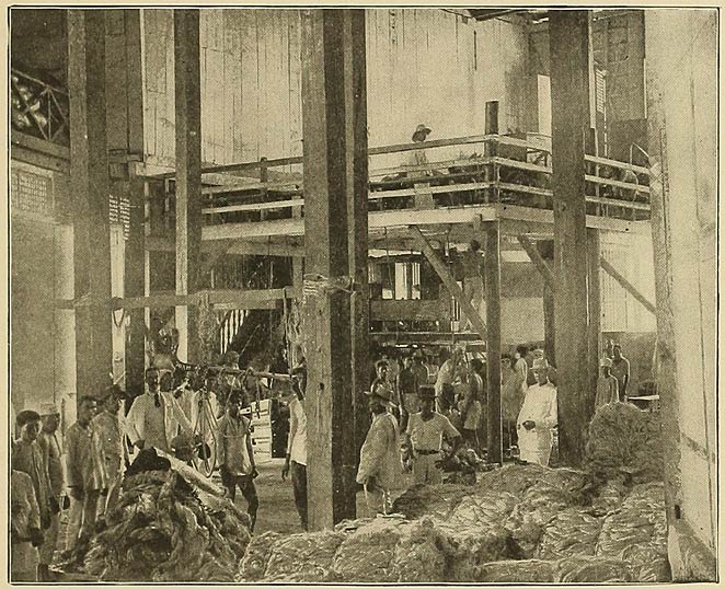 A Hemp Press at a Busy Hour.