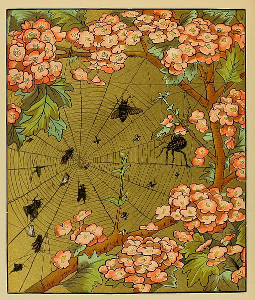 bugs caught in web in flowering cherry tree