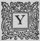 Y