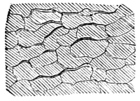 Fig. 15.