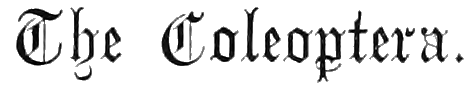 The Coleoptera. The Coleoptera.