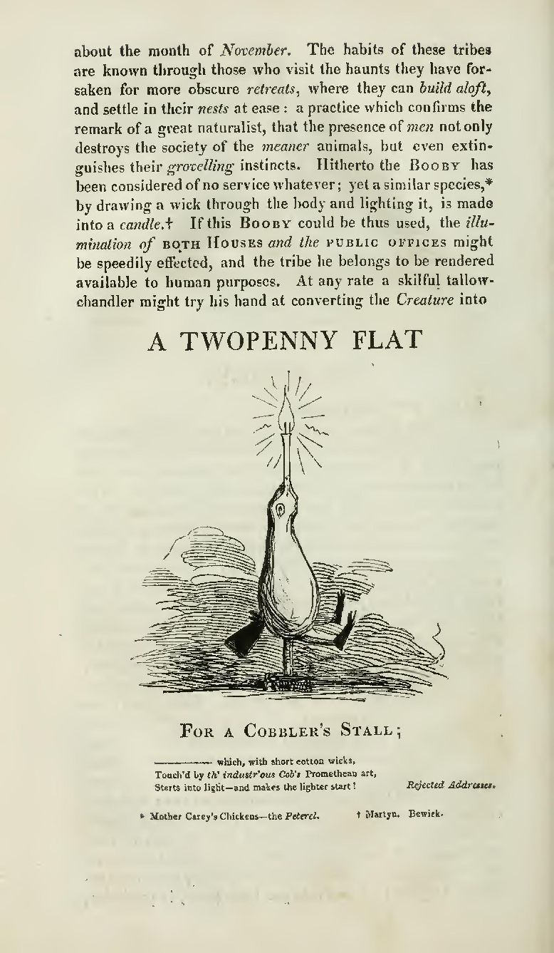 116s