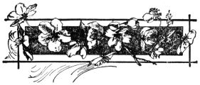 flower decoration