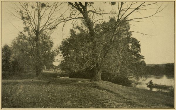 photograph