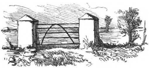 079m