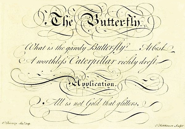 the butterfly poem and motto