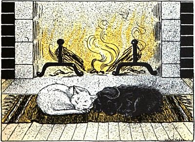 Both curled up asleep on rug before fire