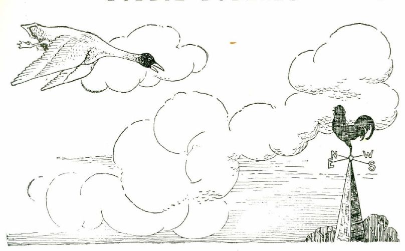 0016m
