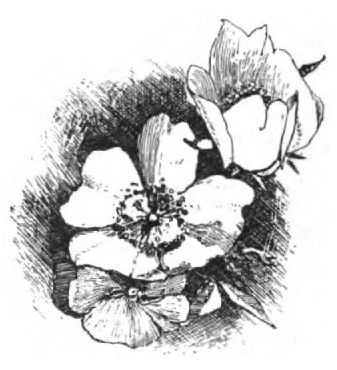 0317m