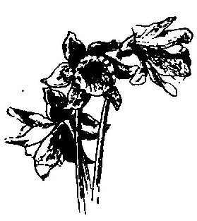 0149m