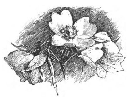 0267m
