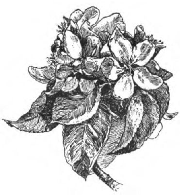 0306m