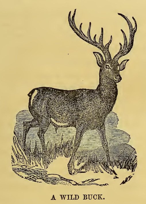 0269m