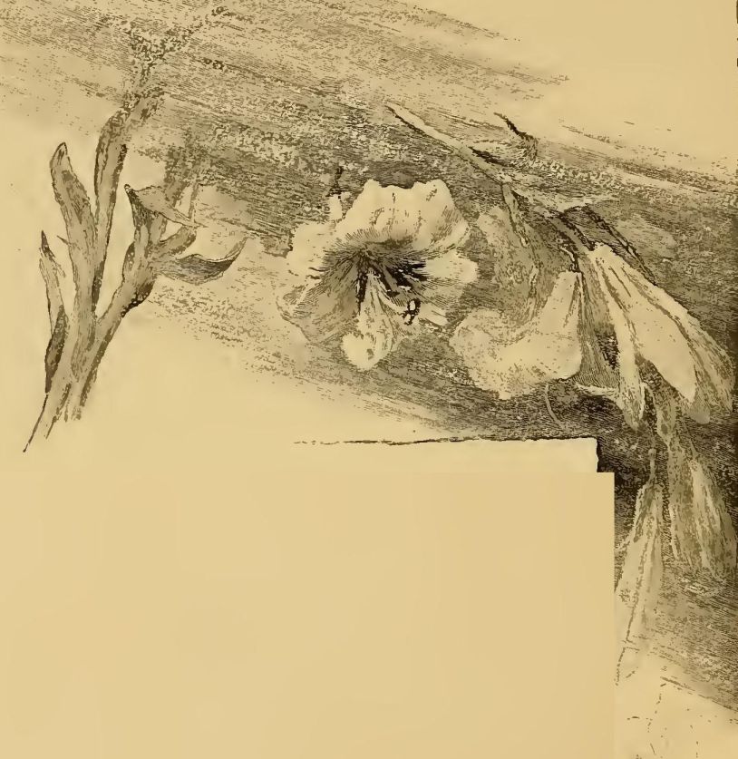 0024m