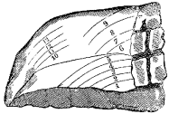 Fig. 50.
