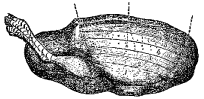 Fig. 91.