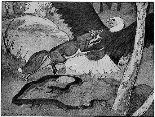 “IN AN INSTANT RED FOX WAS UPON HIM AGAIN.”
