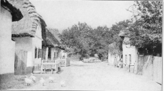 THE SLAVIC HOME IN HUNGARY A peaceful, little village surrounded by fields of poppies and maize.