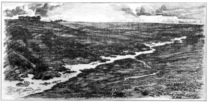BOG LAND, KERRY.