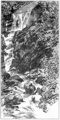 TORC CASCADE.