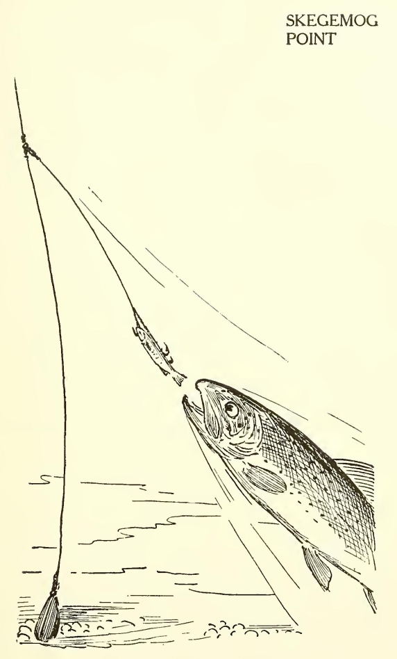 0199m