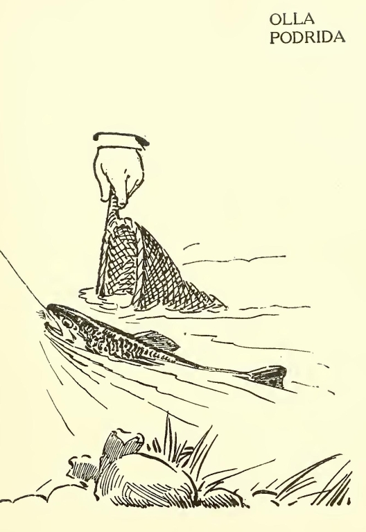 0275m