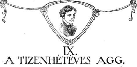 IX. A tizenhétéves agg. IX. A tizenhétéves agg.
