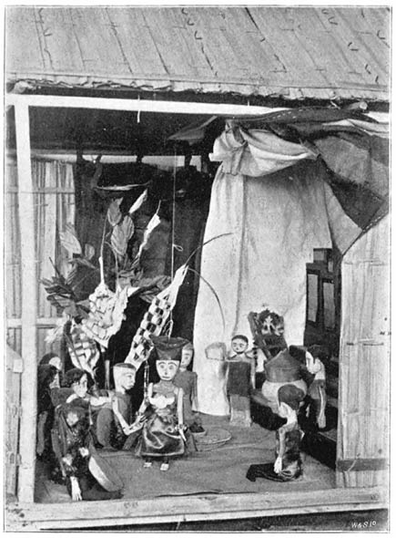 Plate 18.—Gambor.