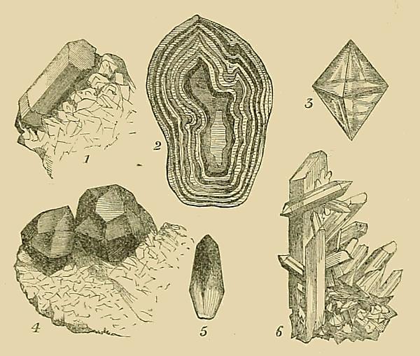 (‡ Illustrations of:)