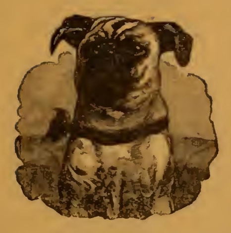 5120 