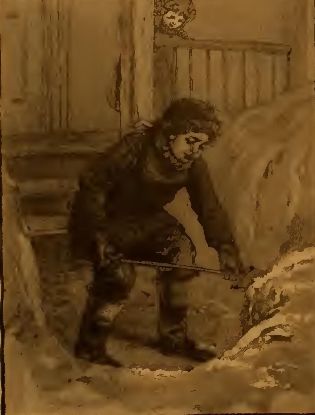 9061 