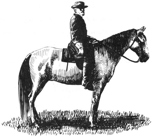 Lee on Traveller