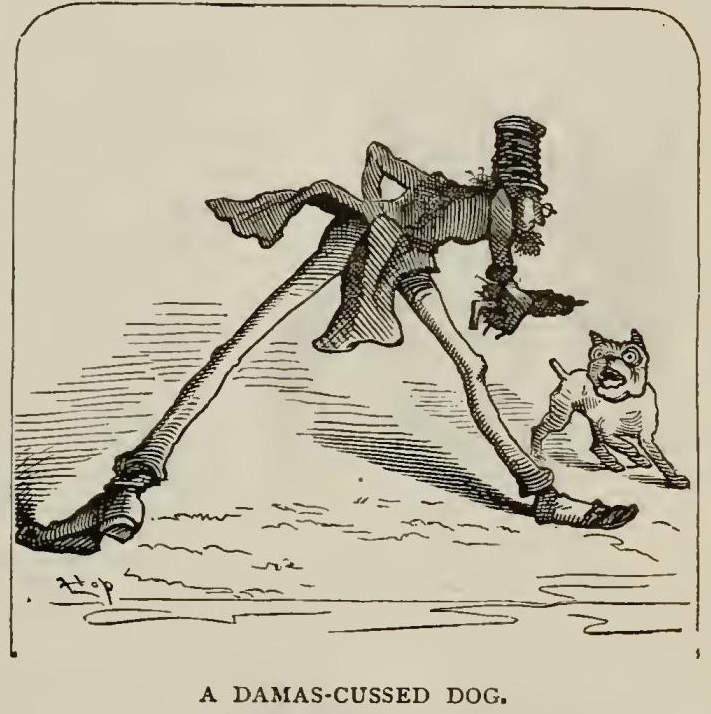 8141 