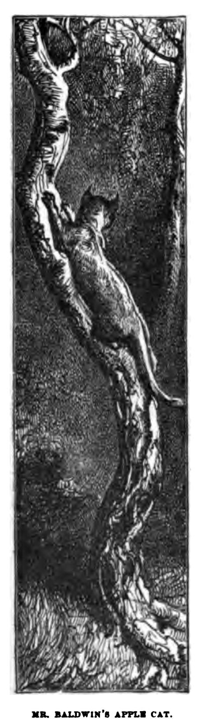 9102 