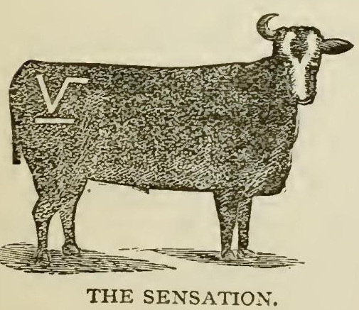 7031 