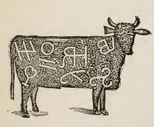 9030 
