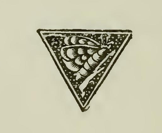 5242 