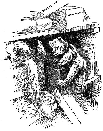 bear climbing along shelf