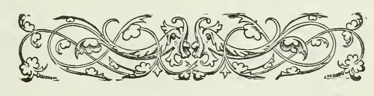 0082