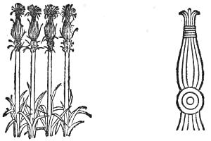 Papyrus stems and resulting wall ornament (drawing)