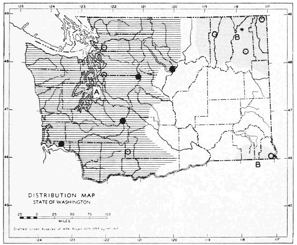 Fig. 50.