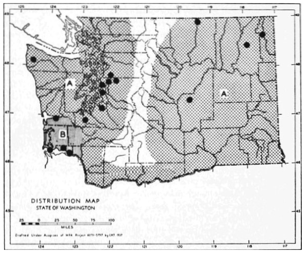 Fig. 120.